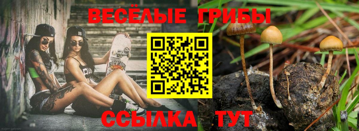 Галлюциногенные грибы GOLDEN TEACHER Семёнов