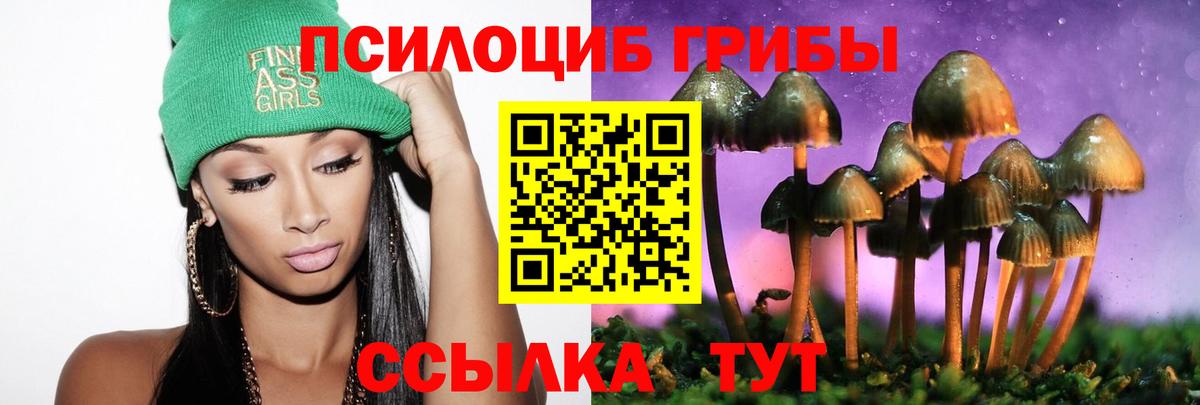 Галлюциногенные грибы мицелий  Вход с VPN  Семёнов 